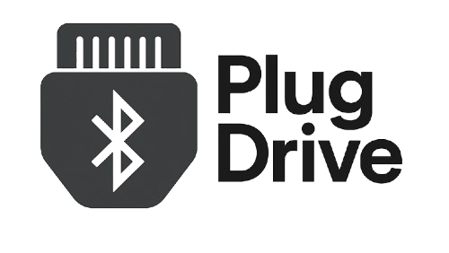 PlugDrive